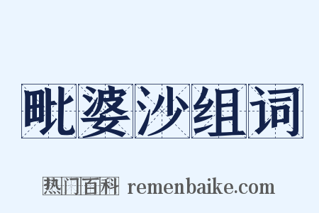 毗婆沙组词是什么意思的图片